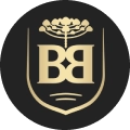 Baden logo